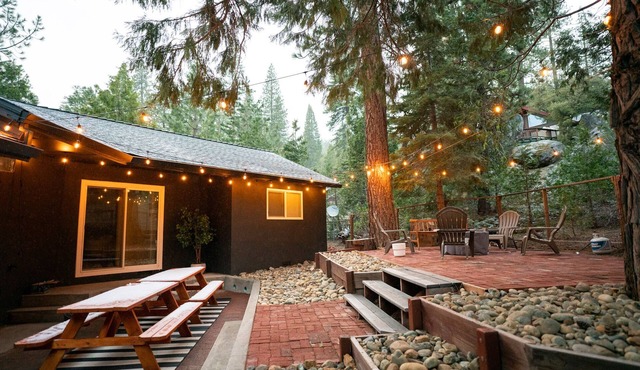 Spacious, Stylish Cabin by Dodge Ridge & SnowPark!