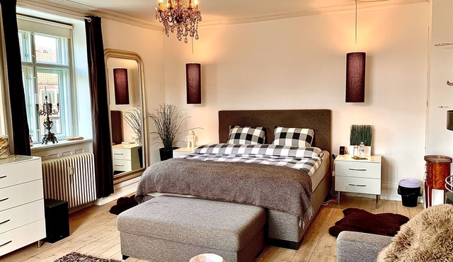 Spacious, Stylish Apartment, king-size beds, fast WiFi, office, close to centrum