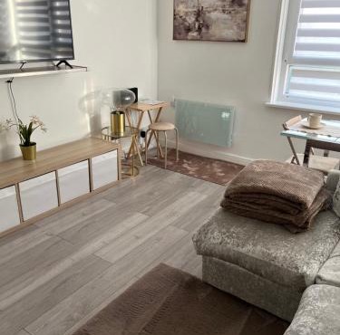 Spacious stylish apartment Croydon