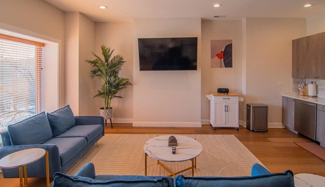 Spacious/Stylish Apt Near Med District/West Loop