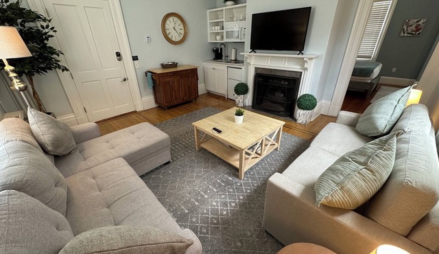 Spacious Suite 1 Bed/1 Bath/2 Pullout Sofas/Dog Friendly (Sleeps 5) on Historic Spring St.