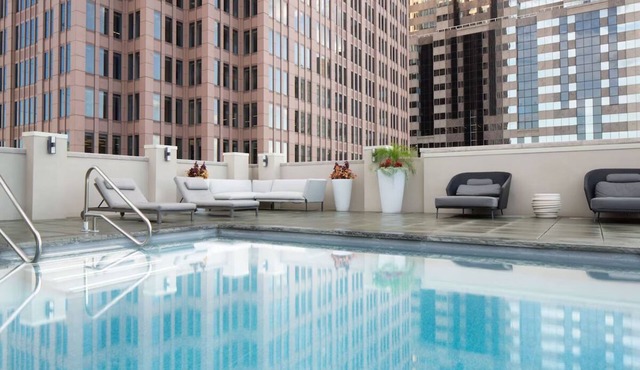 Spacious Suite with Kitchen | City Views | Rooftop Pool | Pet-Friendly