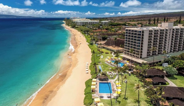 Spacious Suite with Ocean Views + Pools & Dining