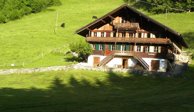 Spacious Swiss Alpine Chalet for Nature Lovers