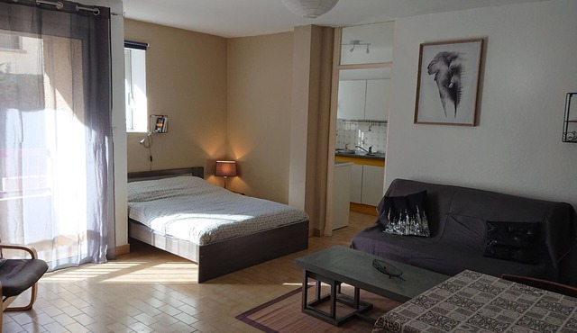 Spacious T1 - 3 * - Aux Plaisirs du Conflent - Ideal Cure, Tourism, Hiking