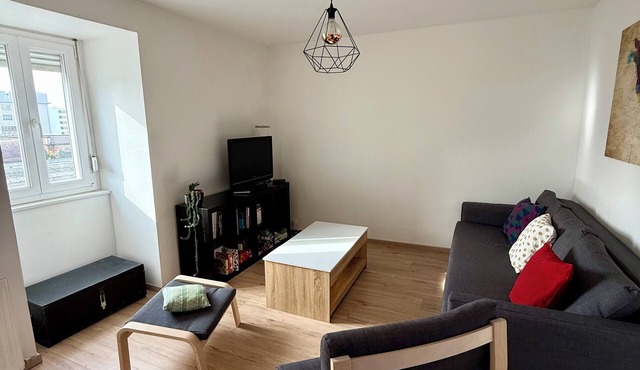Spacious T2 apartment - near Strasbourg center/Parliament