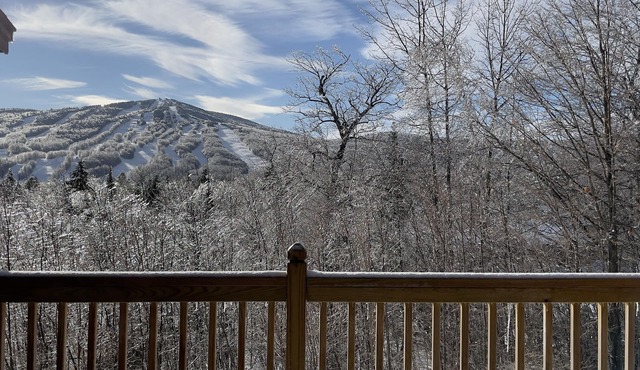 Spacious Townhome with breathtaking views of Mount Snow. 5 min Shuttle to ski