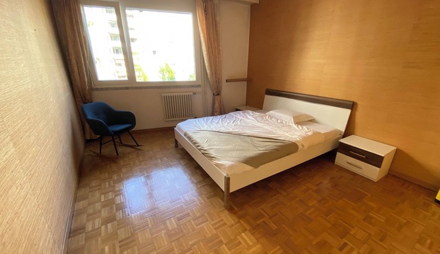 Spacious Two-bedroom Apartment