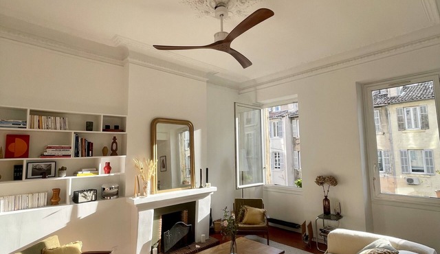 Spacious typical marseillan flat