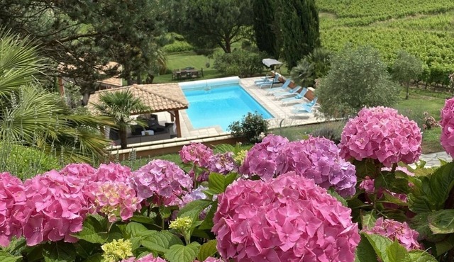 Spacious Villa among vineyards