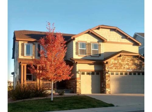 Spacious walkout basement in Castle Rock Colorado