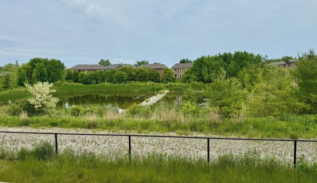 Spacious Waterfront Retreat near Blue Mountain & Wasaga Beach - All-Season Fun!