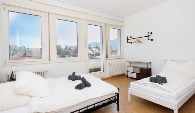 Spacious Zurich Apt, Huge Terrace & Views