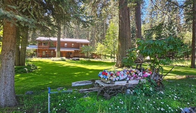 Spacius family friendly home with a gas grill, full kitchen, W&D & wood stove