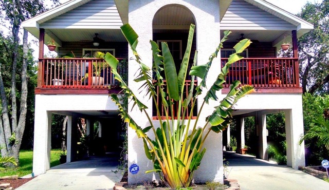 Sparkling Clean Tampa TreeHouse