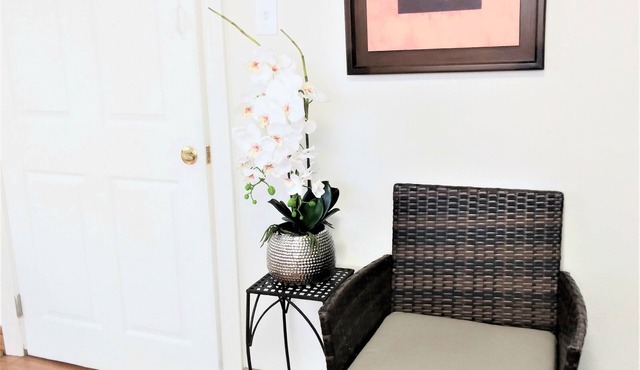 Sparkling Upscale Suite near Capitol and Hershey