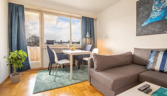 Special *BLUE TIGER* Apartment