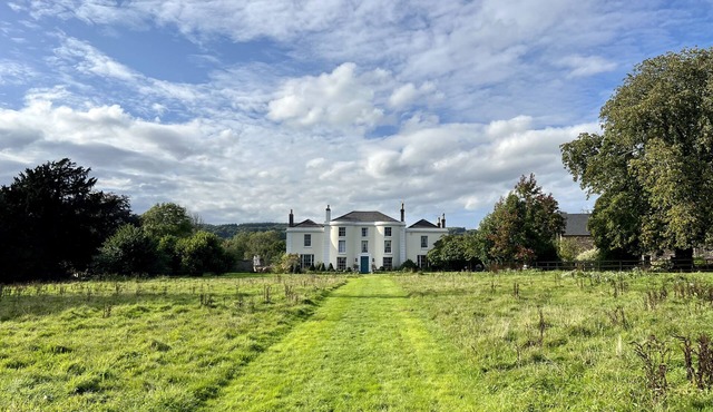 Special Celebration Country House. 4 acre grounds. Pet Friendly!