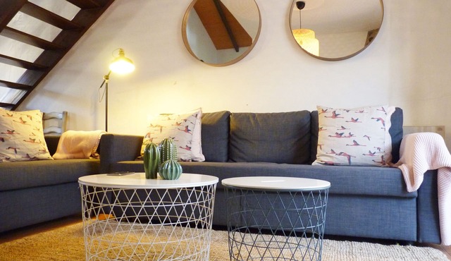 SPECIAL OFEERTA! BEAUTIFUL COTTAGE ON THE SLOPES OF GREDOS