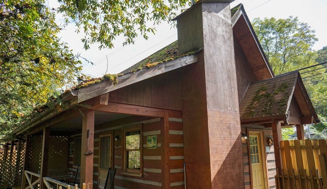SPECIAL *Sept. 13th- Oct. 4th 20% off* Ol'Smoky Log Cabin on the River Unit 1