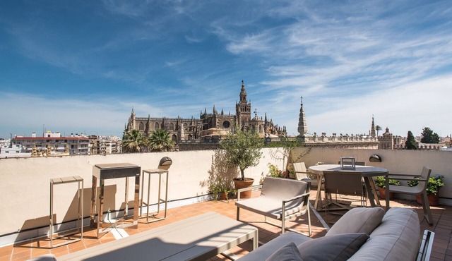 Spectacular attic with the best terrace in Seville