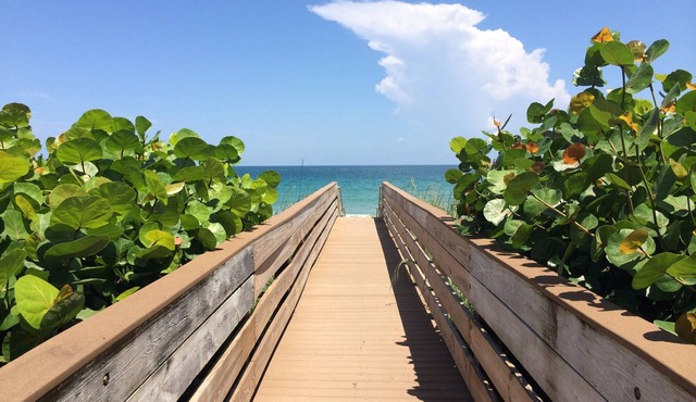 Spectacular, Beach Front