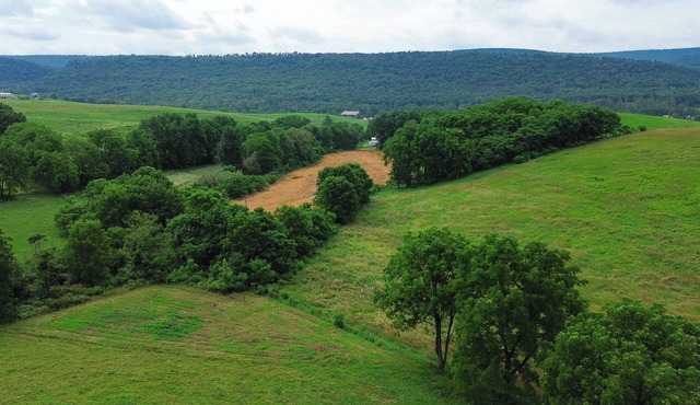 Spectacular Buckleberry View>EV Charging >Hot Tub >Fireplace>Jacuzzi