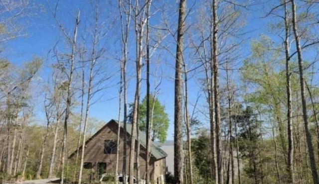 Spectacular cabin on Lake Cumberland
