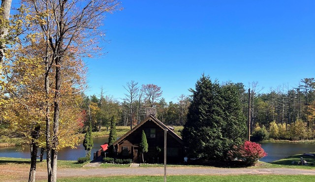 Spectacular Cozy Mountain Cabin with fireplace, views and trails, pet friendly