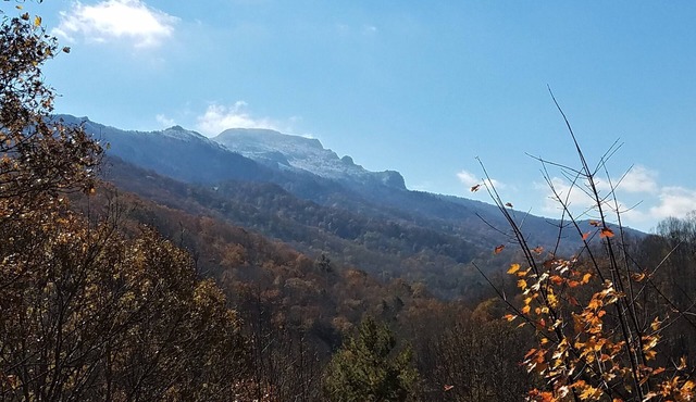 Spectacular Grandfather Mountain Views from three levels, centrally located