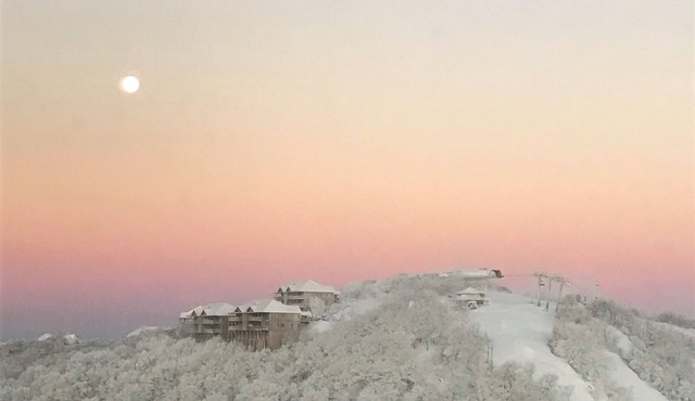 Spectacular Mile High View,Free Wifi-Pool-Smart Tvs-W&D-Gym-No hidden fees !