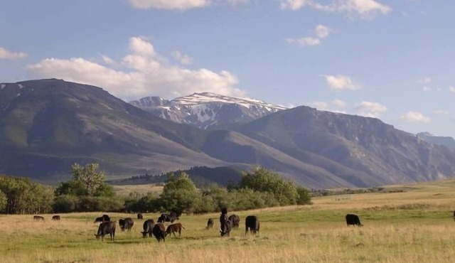 Spectacular Mountain Views! Private Riverfront Access! All the comforts of home!