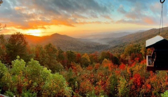 Spectacular Mtn Views-Artfully Decorated. Inviting, Warm & Rustic.