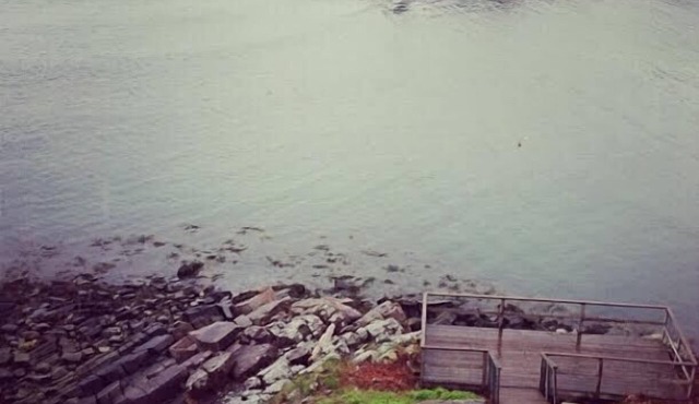 Spectacular Ocean Views from Every Room