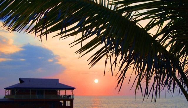 Spectacular Oceanfront! 20' from the Sea