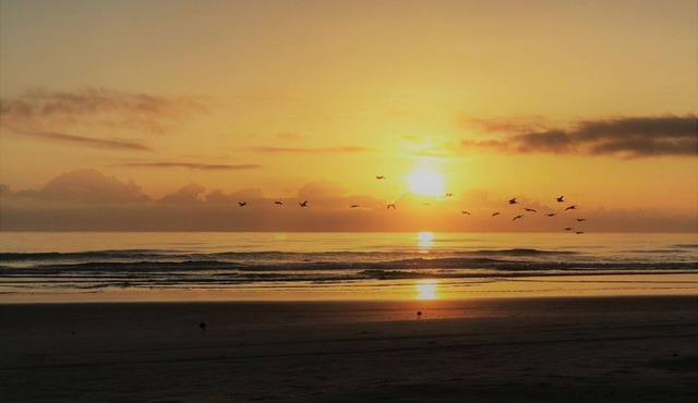 Spectacular Oceanfront Condo Oasis