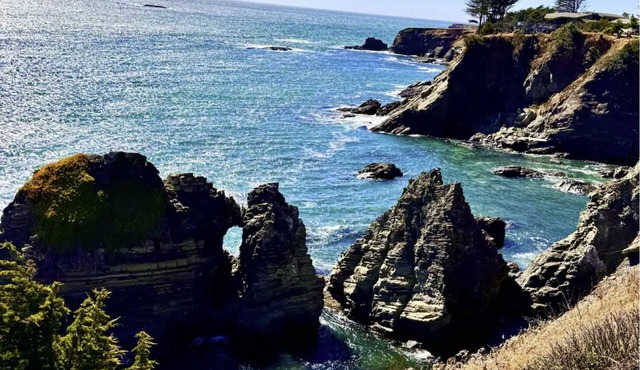 Spectacular Oceanfront, massive fenced yard, with Spa Mendocino Coast in Gualala