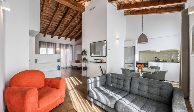 Spectacular renovated studio penthouse