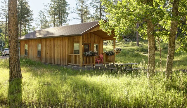 Spectacular setting, amenities, and centrally located to Mt. Rushmore and Custer State Park, and hiking. Wi-Fi. Excellent cell service (Verizon & ATT). Private campfire. Off-season discounts. No extra fees.