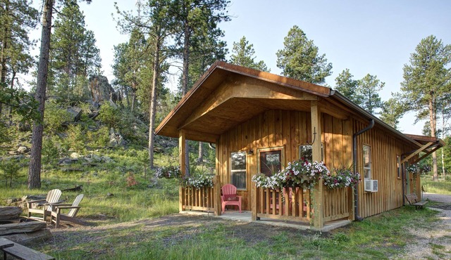 Spectacular setting, amenities, and centrally located to Mt. Rushmore and Custer State Park, and hiking. WiFi. Excellent cell service (Verizon & ATT). Private campfire and fireplace. Off-season discounts. No extra fees.