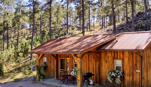 Spectacular setting, amenities, and centrally located to Mt. Rushmore and Custer State Park, and hiking. Wi-Fi. Excellent cell service (Verizon & ATT). Private campfire and fireplace. Off-season discounts. No extra fees.