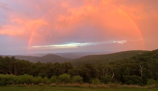 Spectacular Sunrises, Pet Friendly