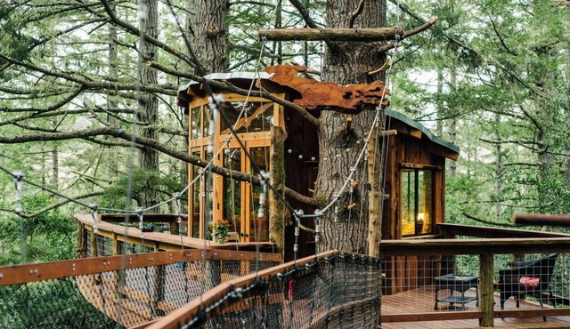 Spectacular Treehouse on the California Sonoma Coast
