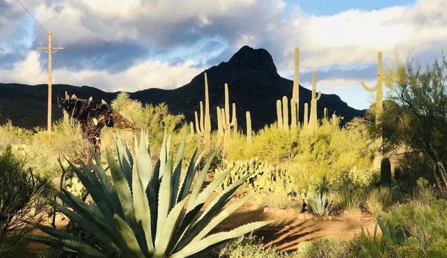 Spectacular Viĺla,private resort, trails,horses,pool.Unique Desert Adventure!