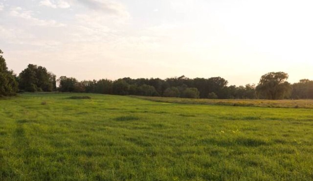 Spectacular Views! Large Home on 63 Acre Farm