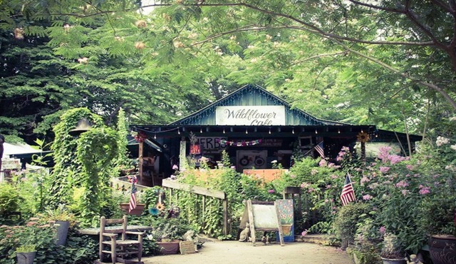 Spectacular Views! Private 3 Bd/2 Ba on Lookout Mt, Lrg Hot Tub, FP, Pets Ok!