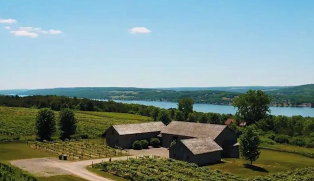 Spectacular Vineyard Estate above KEUKA LAKE