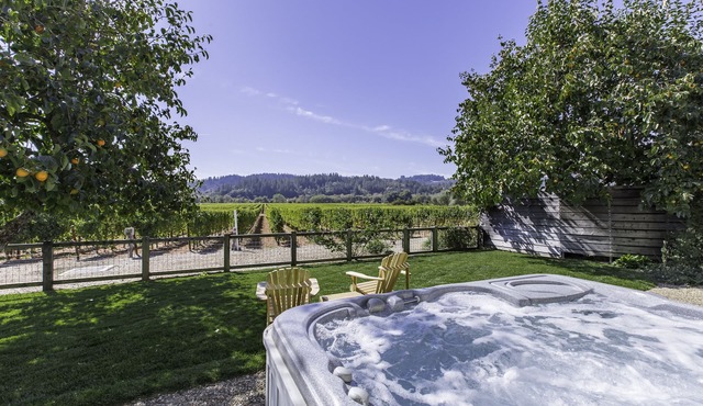 Spectacular Vineyard View! SPA, Close to Plaza!- 3br/2ba (up to 8 guests)