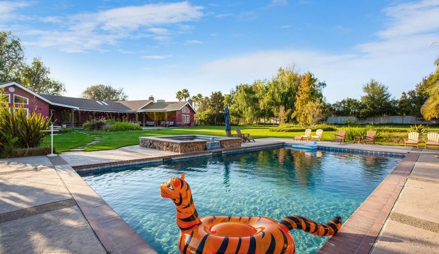 Spectacular Vineyard Estate with Towering Palm Trees and Picturesque Vines!
