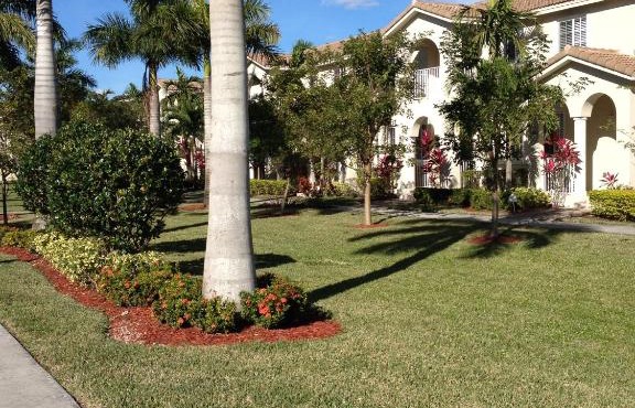 Speedway Blvd Townhouse